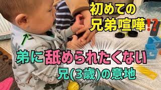 【初めての兄弟喧嘩】アッシュ君とトマのオモチャ争奪戦！舐めるなよbyトマ【今日も平和】brothers fight over toys