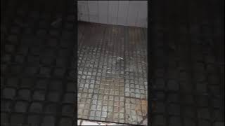 Download lagu LAGI DI WC DI LEMPAR PETASAN DISKO kocak mp3