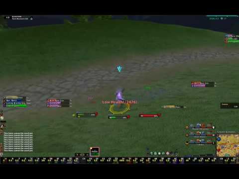 Zealot Vs WitchHunter