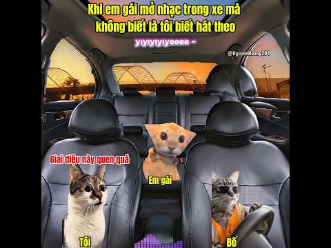 Khi em gái mở nhạc trong xe #meme #catmeme
