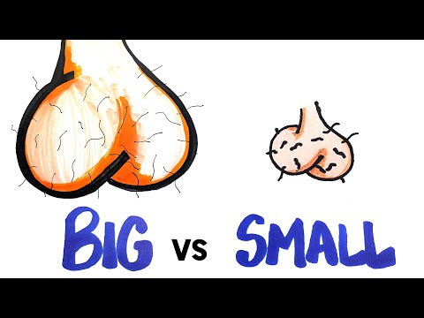 你的球的大小，洩漏了關於你的一切祕密？！ (What your ball size says about you)