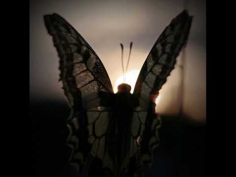 Dennis Lisk - Irgendwann