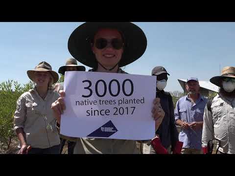 2019 GGAA Finalist: Creating Impact – Charles Darwin University