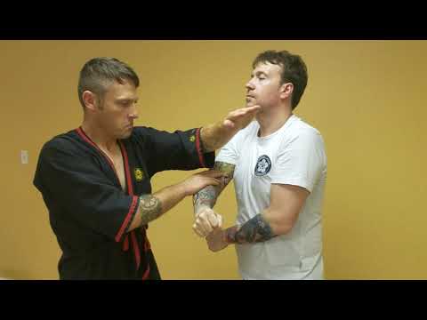 Wing chun biu jee applications.