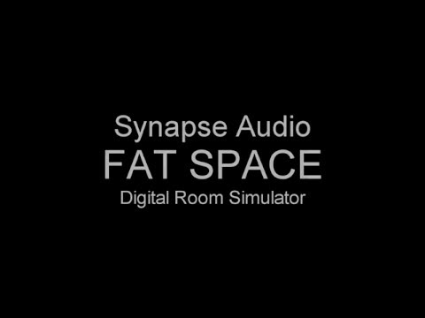 Synapse Audio Fat Space  -  Features Overview