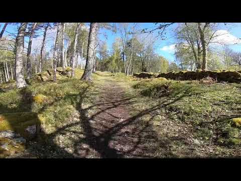 Tipspromenad på Högbergsfältet