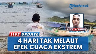 Waspada Cuaca Ekstrem! Nelayan di Kabupaten Sikka NTT Belum Berani Melaut, Pilih Amankan Kapal