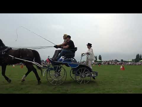 XXIV ART CUP ZAKRZÓW 28.08.2022 EWA KANIA & DAWID CZUPRYŃSKI CUDNY PRZEJAZD - ZOBACZ PROSZĘ - WARTO