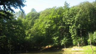 Edward Larry Gordon- All Pervading