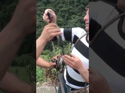 Niños Del Cable - MDQ Para Todo el Mundo