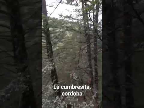 la cumbrecita, camino a cascada grande