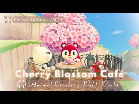 ⏰️Pomodoro 25/5 • AC Wild World Hourly BGM 🎧🌸 Study with me 📖✏️