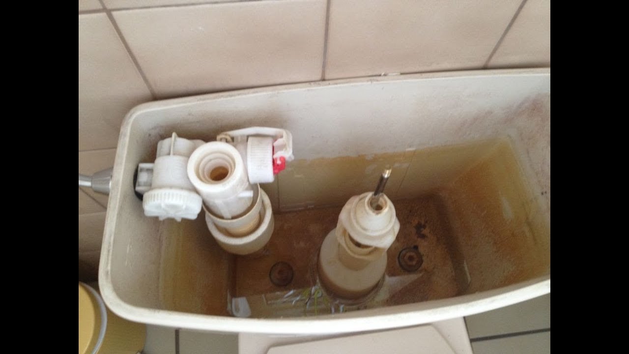 Reparatur Toilette Vitribo BOCH BREVET -Austausch der Verschließkugel im Porzellan-Wasser-Aufsatz