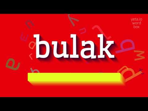 How to say "bulak"! (High Quality Voices)