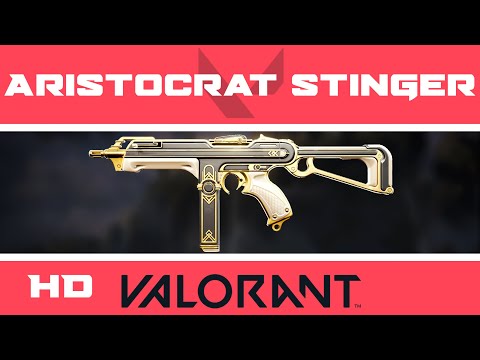 Aristocrat Stinger VALORANT Skin | HD Skins Showcase