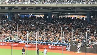 【VENUS】@台北ドーム(台北大巨蛋) 20240303#台湾チア #cheerdance