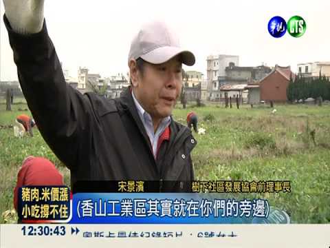 12年排毒有成! 農民歡喜拔蘿蔔