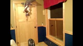 Download lagu Stuff.jpg.png.gif.mp4.bmp.pdf.mp3.wav.psd mp3 Download lagu Stuff.jpg.png.gif.mp4.bmp.pdf.mp3.wav.psd mp3