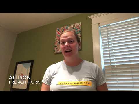 Chione Quintet--Arts in the Park