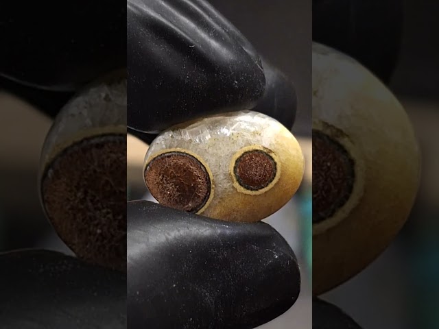 حجر عقيق داؤدي هيئة عيون طبيعي