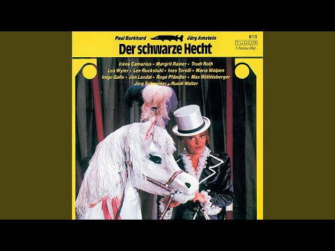 Hokuspokus Fidibus (Live)