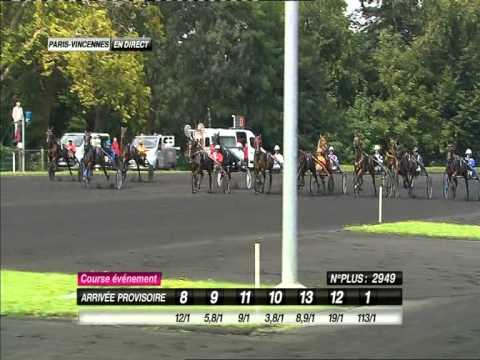 Vabellino - 30 Août 2014 - Vincennes - vainqueur du critérium des 5 ans 2014 - Version France 3