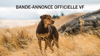 L'Incroyable aventure de Bella - Bande annonce