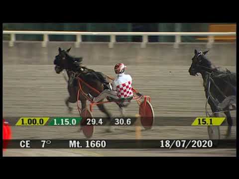 2020 07 18 | Corsa 7 | Metri 1660 | Premio Bar Delle Scuderie