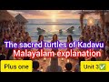 The Sacred Turtles Of Kadavu Plus One Malayalam Explanation Unit 3 Completed
