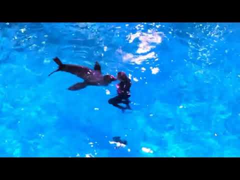 How to Plan Niagara Falls State Park in One day