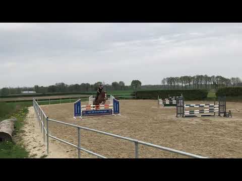 Ivanka Quarantraining at home🦄