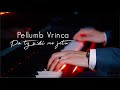 Pellumb Vrinca-Pa Ty Sdi Me Jetu - ( Official Video 4K )