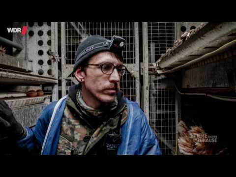 Wie weit darf Tierschutz gehen? WDR Tiere suchen ein Zuhause