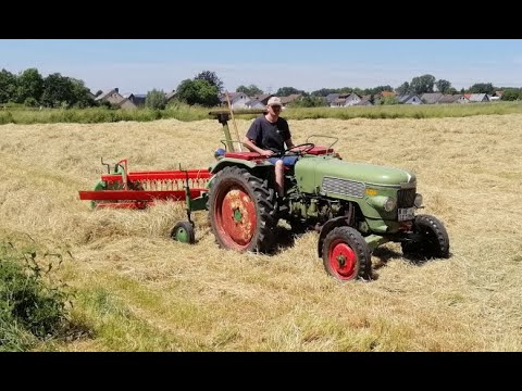 Fendt Farmer 1z mit Hagedorn Polyp, 1. Schnitt Heu 2021 Schwaden