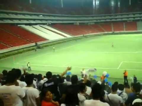 "Borracho y loco" Barra: La Demencia &bull; Club: Celaya