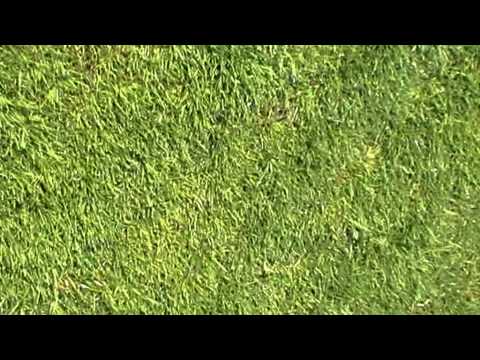 KOSC E5  vs ZVV De Esch E3.mpg