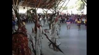 preview picture of video 'Danza Shipibo del Ministerio de Agricultura  en la  ExpoAmazonica Ucayali 2012'