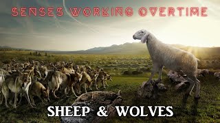 Sheep & Wolves Music Video