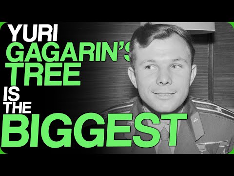 Yuri Gagarin's Tree Is The Biggest (Our Biggest Fears)