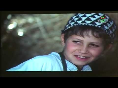 "Les Portes du Silence" (1987) de Amar Laskri