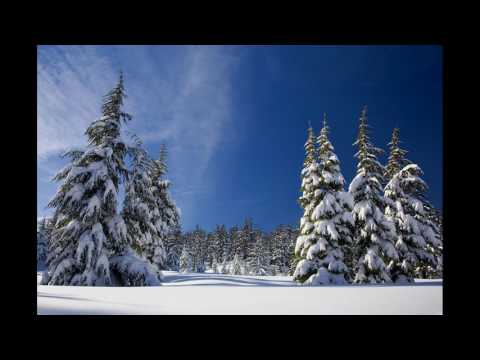 Triarchy ft. Trishes - Where You Go