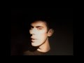 Peter Murphy - The Scarlet Thing In You