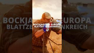 Bockjagd in Europa - Blattzeit in 🇫🇷 Teil 6! Ein @huntondemand Film
