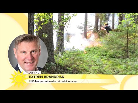 Totalt grilluppehåll: "Minsta lilla gnista kan vara förödande"  - Nyhetsmorgon (TV4)