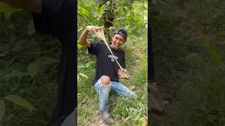 Download lagu Ini cara buat pulut dari lem tikus #ebiwirawan mp3 Download lagu Ini cara buat pulut dari lem tikus #ebiwirawan mp3