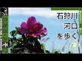 channel