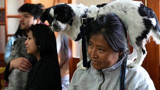 Bolivien: Priester segnen Hunde mit Weihwasser