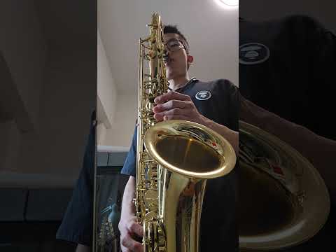 Yanagisawa T-991 Tenor Saxophone image 12