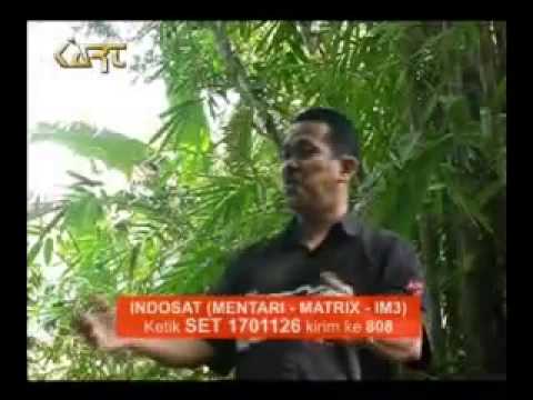 Aci Jessica feat Kang Dodo - Sorabi Bandros