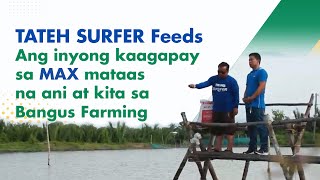 Tateh Surfer Feeds: Ang kaagapay sa MAX mataas na ani at kita sa Bangus Farming | TatehTV EP 145